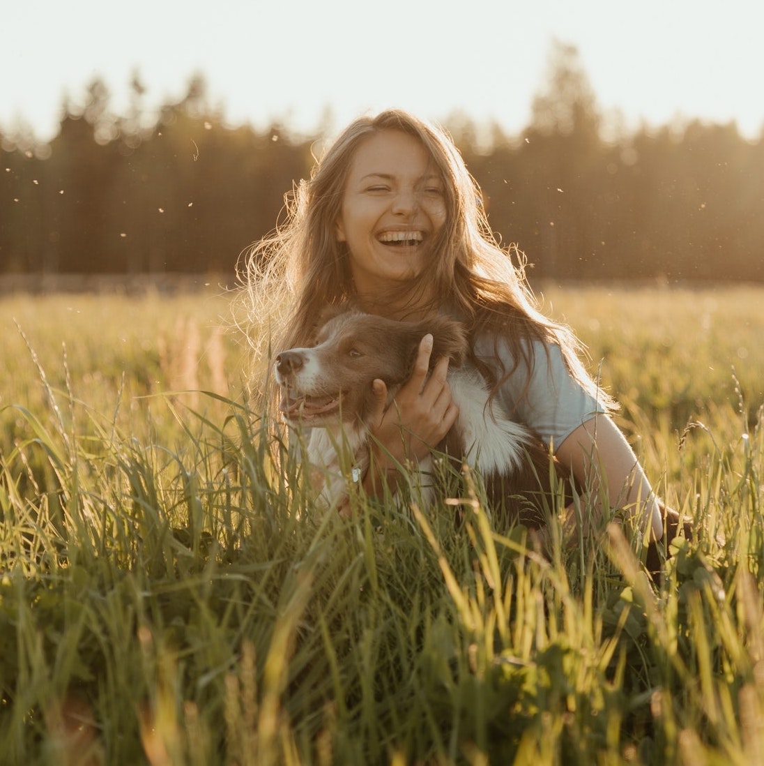 dog_girl_header_pexels-cottonbro burnout recovery